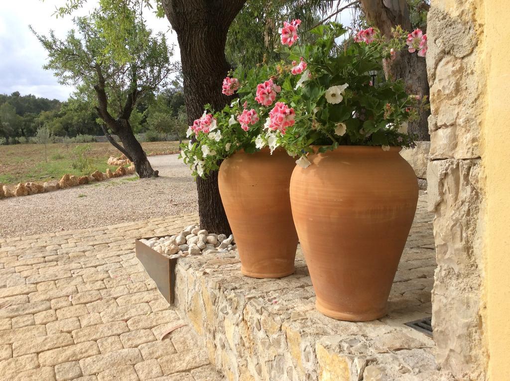 Finca Son Ametler Moscari Exterior foto
