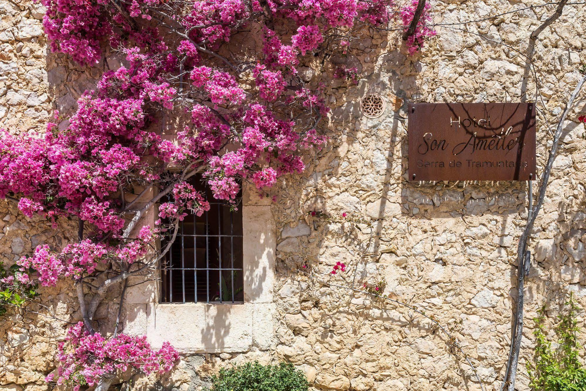 Finca Son Ametler Moscari Exterior foto